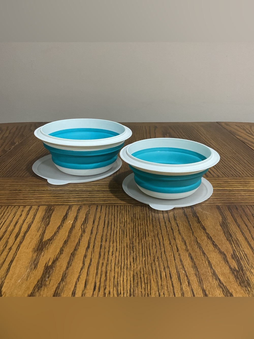 Collapsible Silicone Snack Bowls - Teal & White (Set of 2)